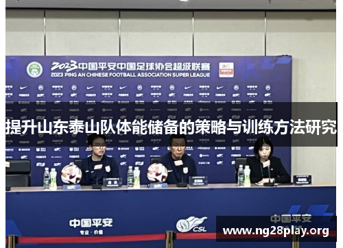 提升山东泰山队体能储备的策略与训练方法研究