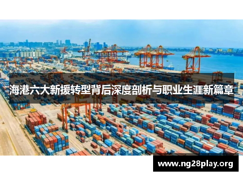 海港六大新援转型背后深度剖析与职业生涯新篇章